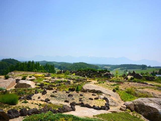 �I�[�i�[����̊�뉀_�V����