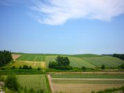 takibist̐Vق̓eʐ^3