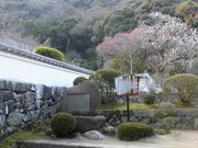 ڂ肳̓򎛁iR⍑sj̓eʐ^3