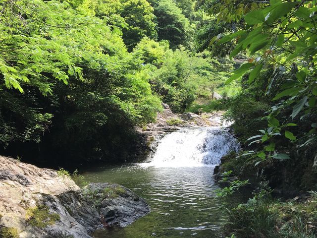 �Ɋ򍲐�B_�Ɋ򍲐�S��