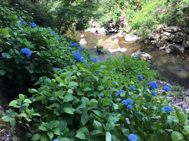 ���̎����͎��z�Ԃ��Y��ł��B_�Ɋ򍲐�S��