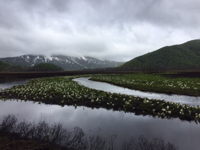 �܂�Ŏc�O�ł����B_�����P��