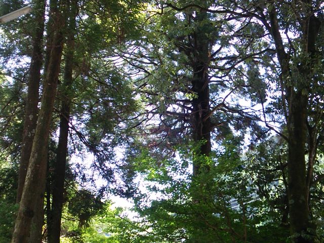 ̒UԂB؁X}U悭Lт_P_ЁEzK_ЁEY