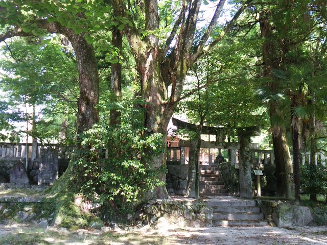 ̒uzK_ЁvBOɐΒiX_P_ЁEzK_ЁEY