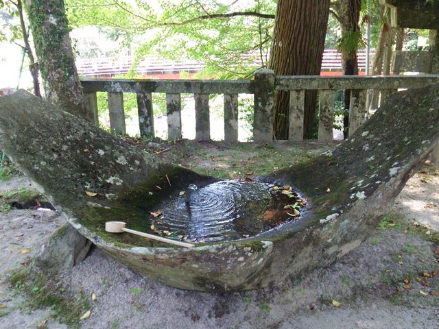 Ol̗P_ЁEzK_ЁEY̓eʐ^3