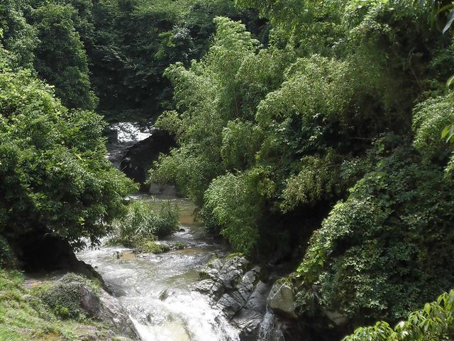 �A_�ω��̑�V����