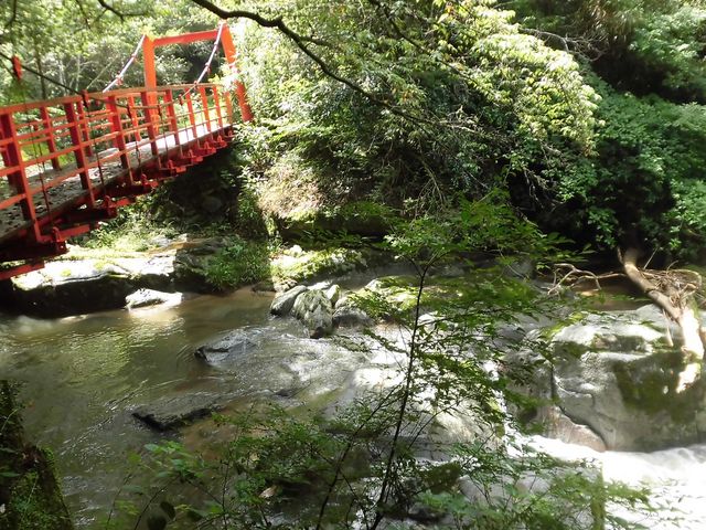 �C_�ω��̑�V����