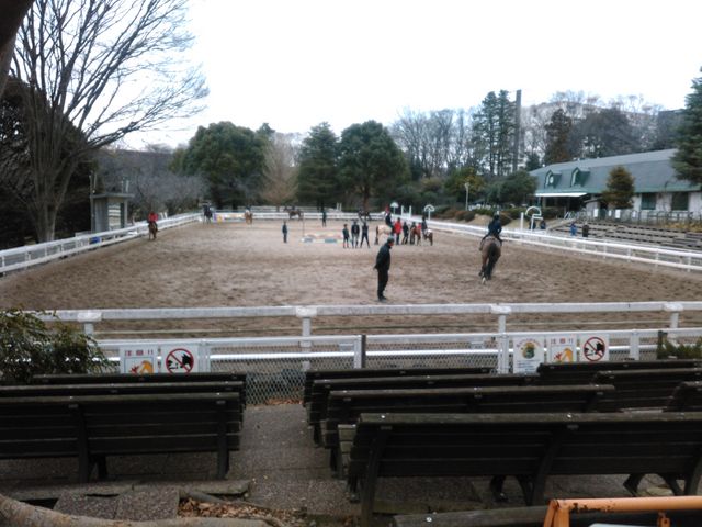 馬の博物館(根岸競馬記念公苑)】アクセス・営業時間・料金情報 馬の博物館(根岸競馬記念公苑)】アクセス・営業時間・料金情報
