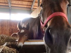 [W[̃TCvf[Xւ̓eʐ^1