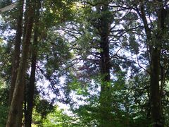 Ol̗P_ЁEzK_ЁEYւ̓eʐ^1