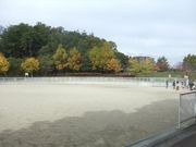 񂿂񂳂̏̒r̓eʐ^1