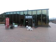 ς炳̔n̔فi݋nLOj̓eʐ^1