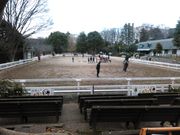 ς炳̔n̔فi݋nLOj̓eʐ^2