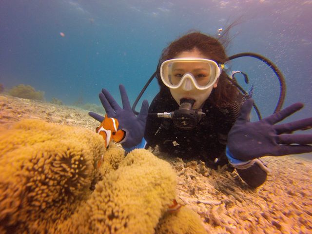 ȂƃjI܂ɂłC̐EɍsłI__CubN