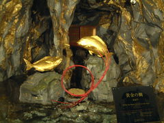 Ԃ񂳂̑␶Rւ̓eʐ^1