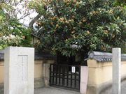 ڂ肳̔mԋ(mԉ)̓eʐ^2