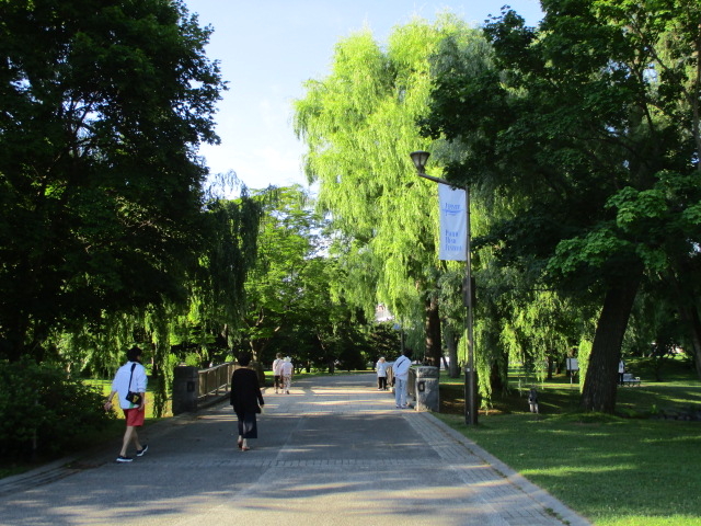 �΂��L�x_��������