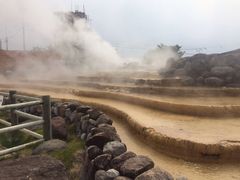 pinky̏l򑫓@قƂӂƂPOTւ̓eʐ^1