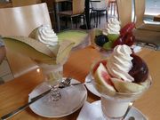 kijimunar̃t[cp[[Sg[̓eʐ^1