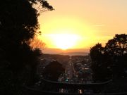 mari̋{nԐ_Ђ̓eʐ^2