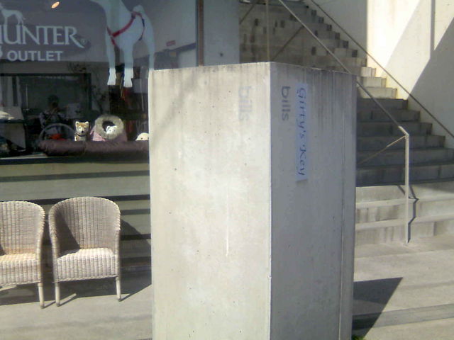 ӂ񂳂bills@l̓eʐ^2