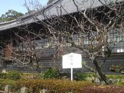 ���Ƃ��񂳂�̐������̉痴�~�̓��e�ʐ^1