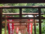 ڂ肳̓ދv_Ђ̓eʐ^4