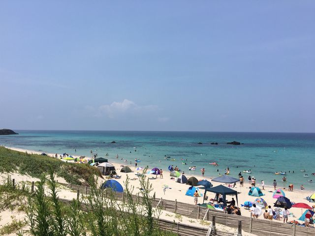 �R�o���g�r�[�`�B_�R�o���g�u���[�r�[�`