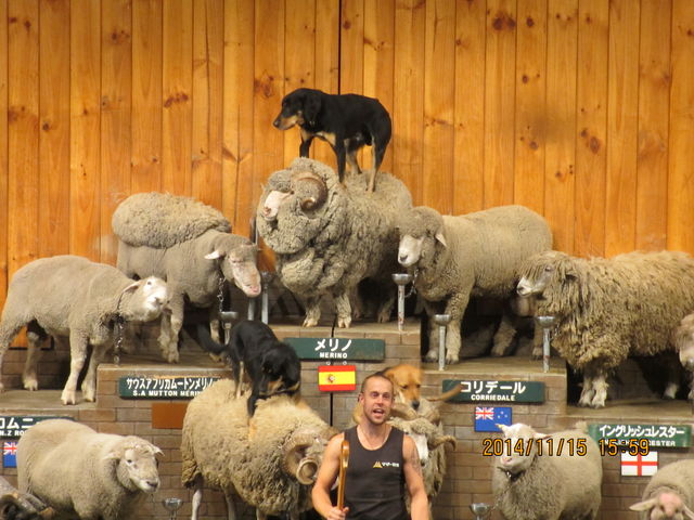 �V���[�͕K��_�}�U�[�q��