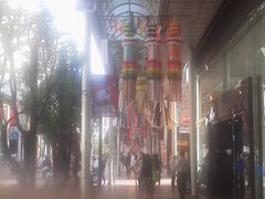 񂲂̐䎵[܂ւ̓eʐ^1