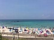 poporoñRogu[r[`̓eʐ^1