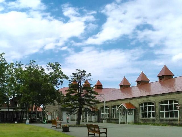 ���w_�j�b�J�E���X�L�[�]�s������