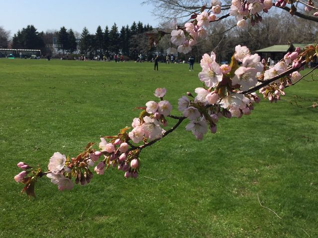 ���̎������f�G�ł�_�S����������