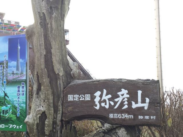 ��F�R���[�v�E�F�C����w�t��_��F�R