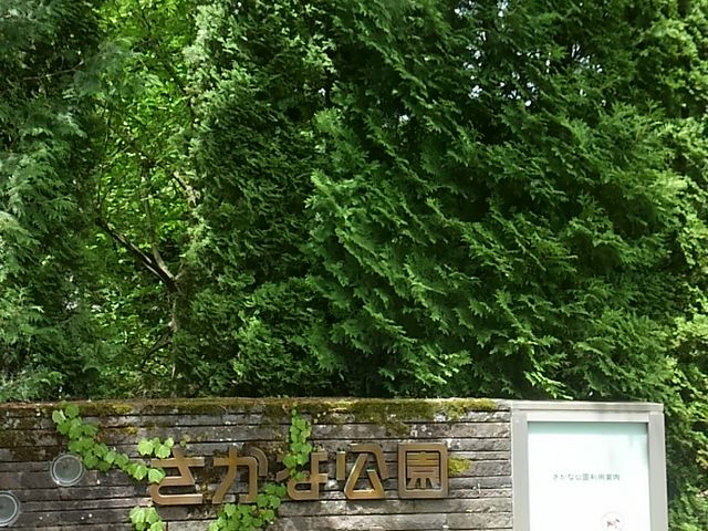 �����Ȍ���_�����Ȍ���