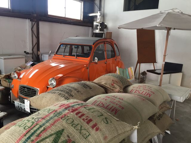 悵̂Plantationive[Vj̓eʐ^1