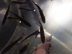 TP̂ӂ邳Ɛΐق̎ʐ^4