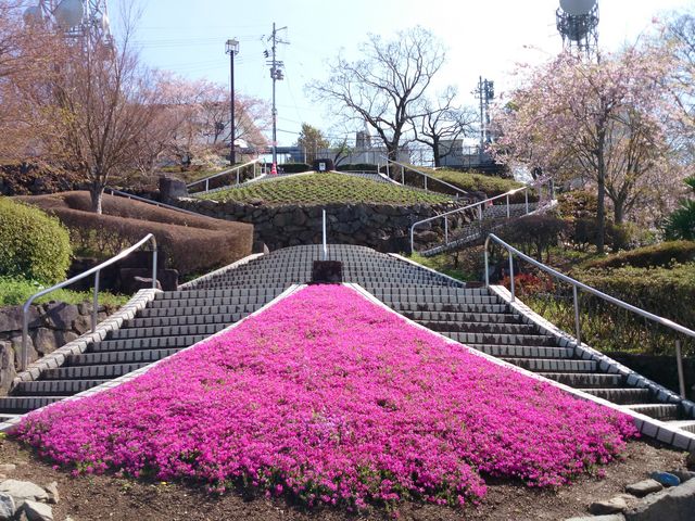 ԂŗƁÅKiĂ܂_R[vEFC