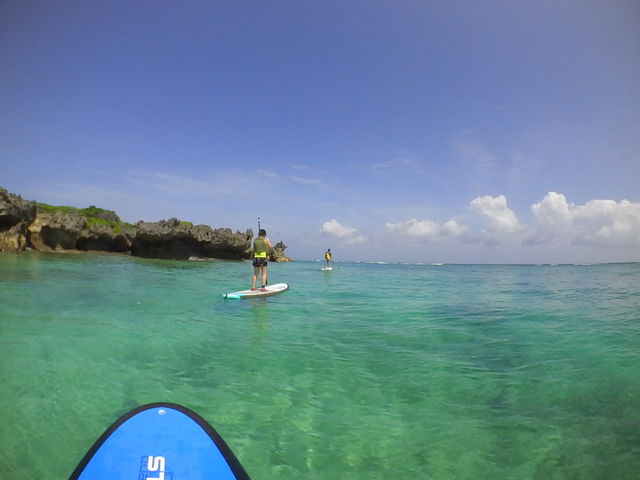 �ݐ؂��Y��Ȑ��C_�O���C�h�p�h���T�[�r�X