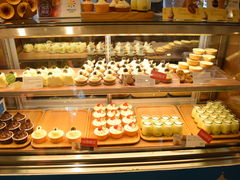 ���邭����̏��M�@�m�َq�܁@���^�I�ւ̓��e�ʐ^1