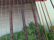 panchan̓_ΔȂ̓eʐ^3