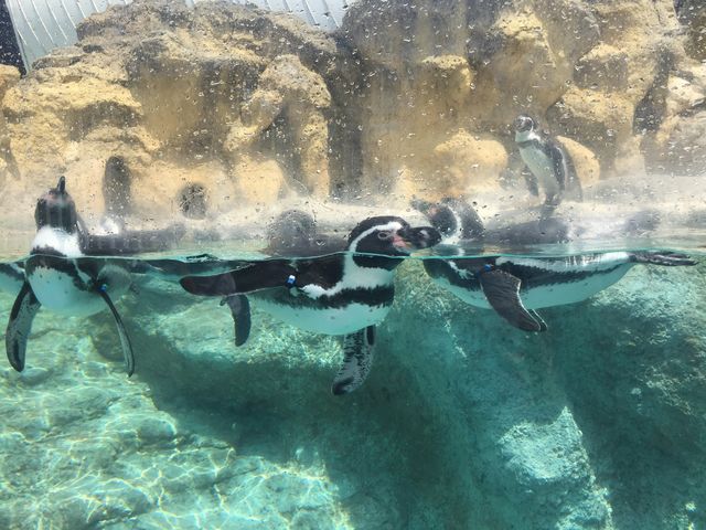 �j���y���M��_���֎s�������̂��������فE�C����