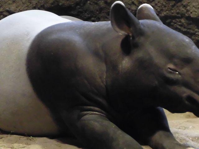 �A_�~�R������