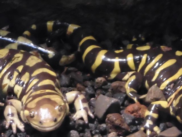 �C_�~�R������