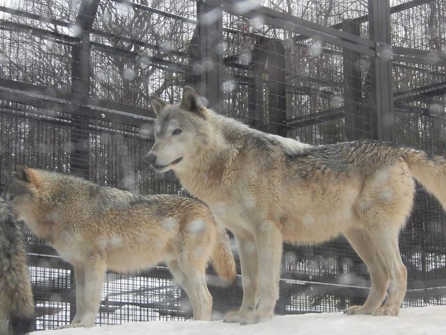 �D_�~�R������