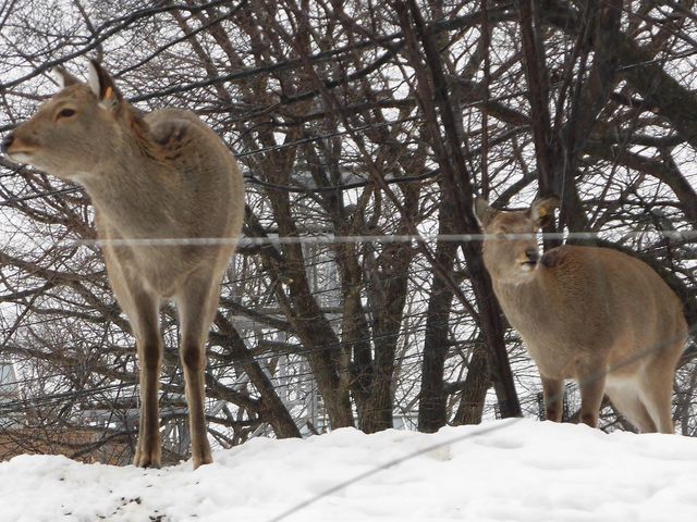 �E_�~�R������