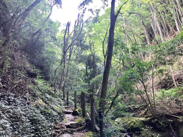 ͂͂͂邳̖͓kJR̓eʐ^1