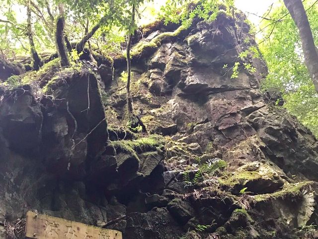 �_��I_��͓��k�J���R����