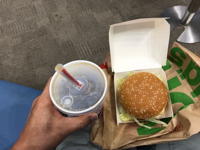 topology����̃}�N�h�i���h(McDonald�fs) �z�J���C�N�^�E���X�̓��e�ʐ^1