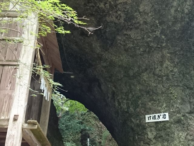 ܂̎RF_Ђ̃XM̓eʐ^2